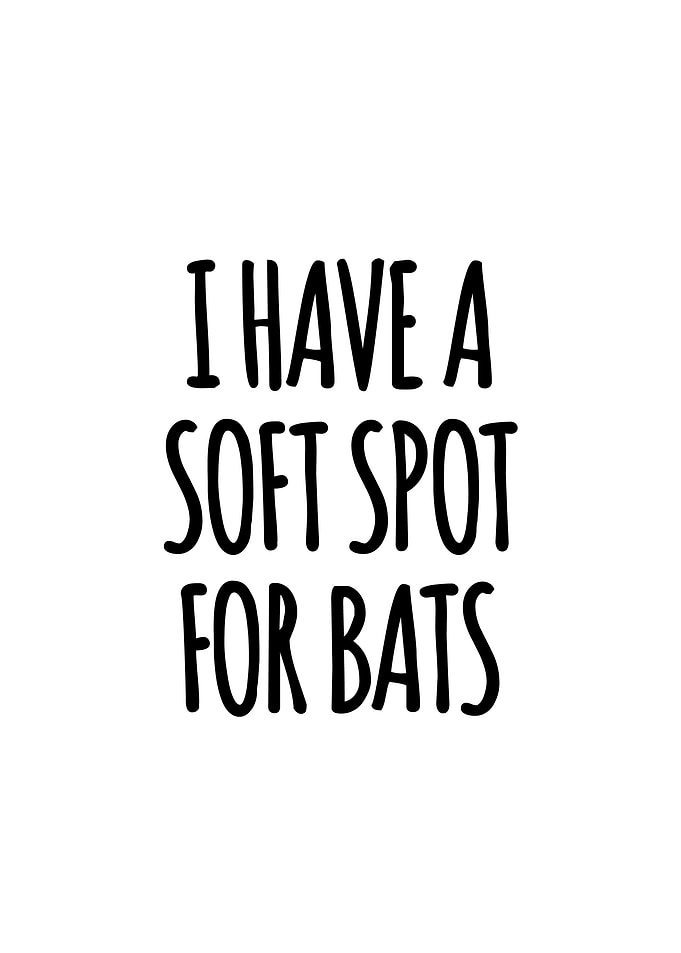 Soft spot for bats