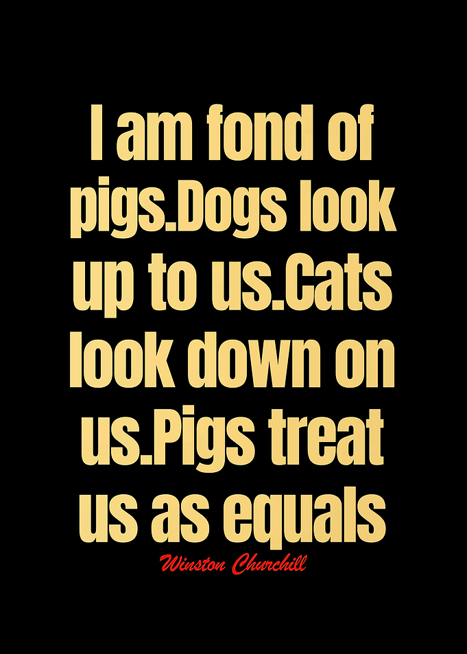 Winston Churchill Quotes