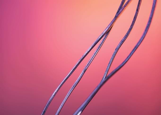 Steel Twig