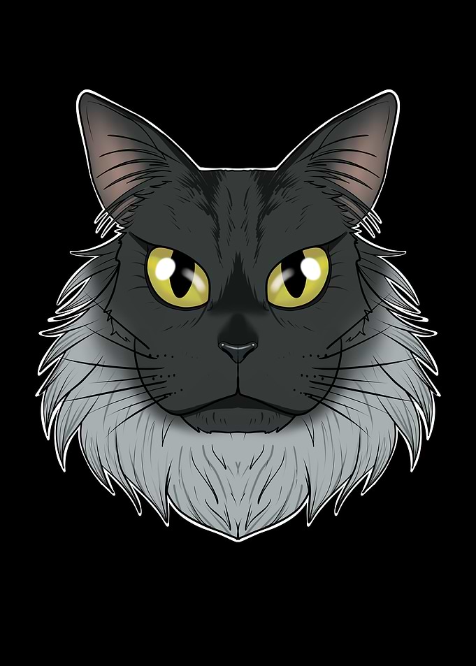 Cat Lover I Maine Coon Cat