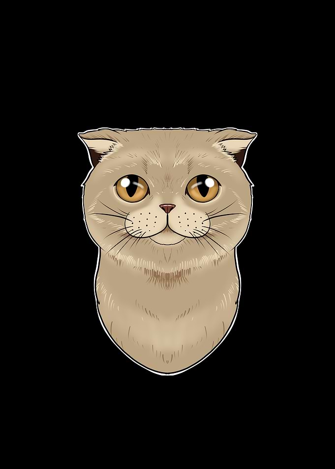 Scottish Fold Cat Lover