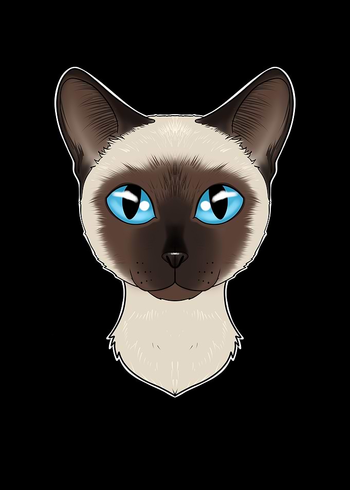 Cat Lover I Siamese Cat