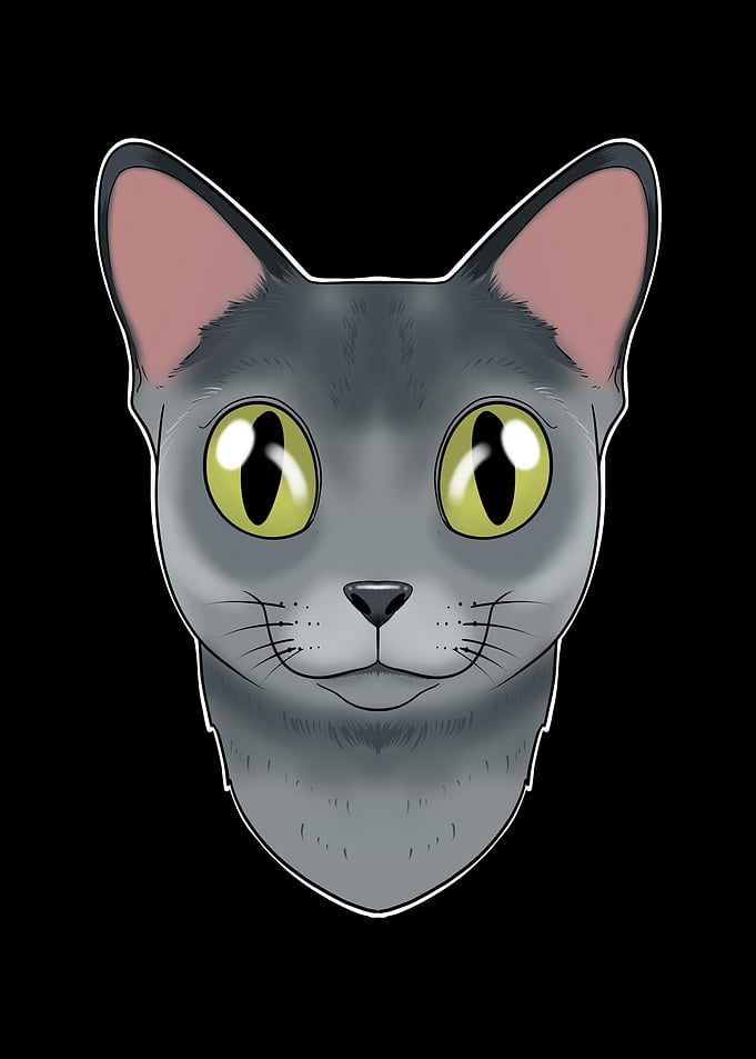 Russian Blue Cat Lover