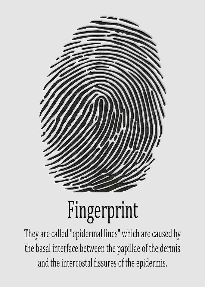 Fingerprint