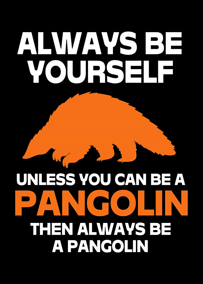 Pangolin Funny