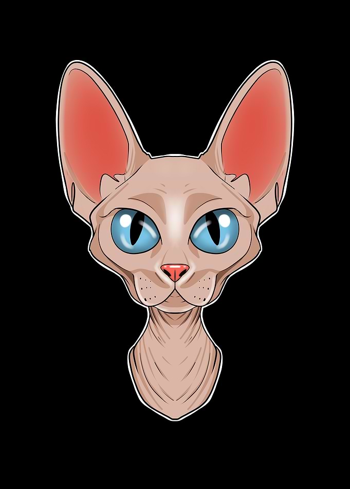 Cat Lover I Sphynx Cat