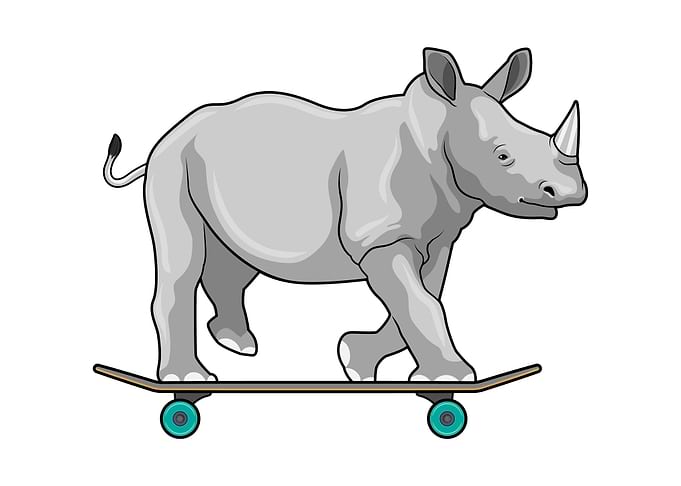 Rhino Skater Skateboard