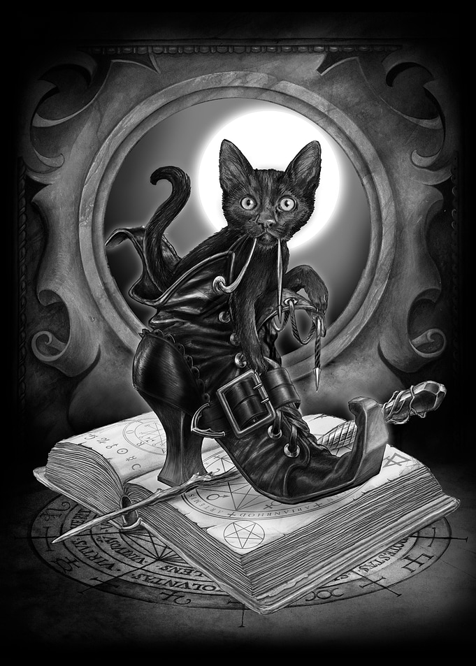 Midnight Mischief