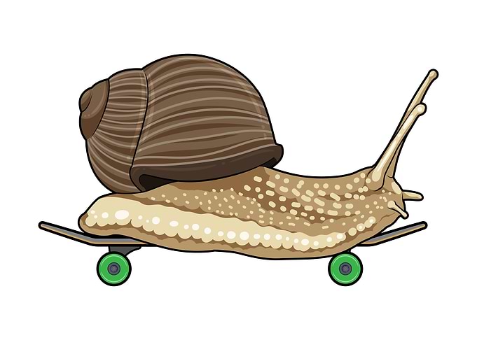 Snail Skater Skateboard