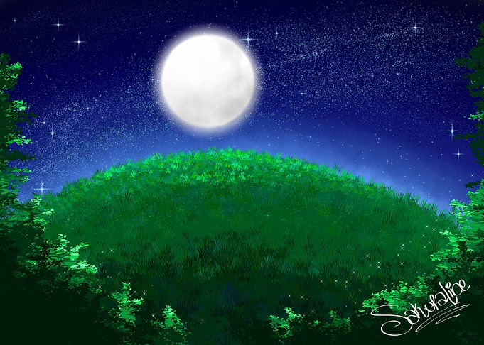 Night Sky