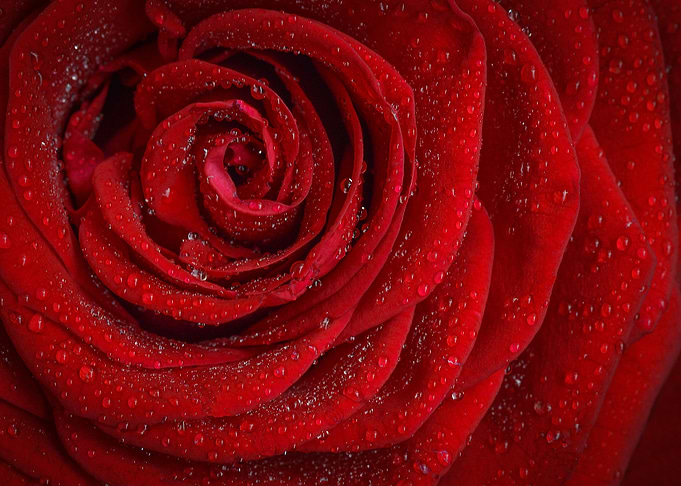 Crimson Red