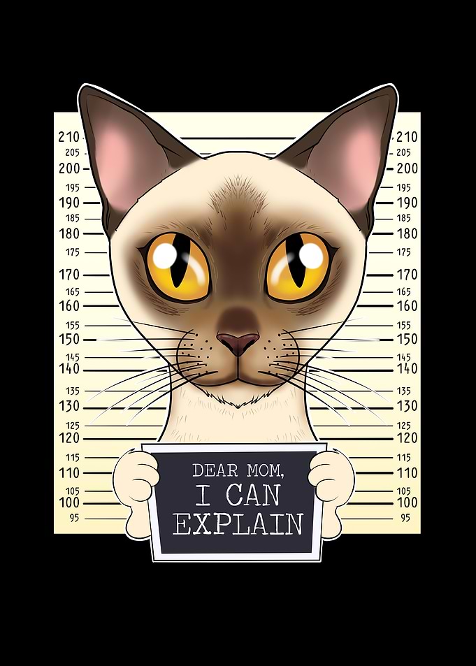 Burmese Cat Mom Dear Mom