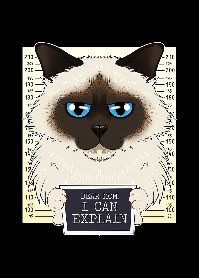 Birman Cat Mom Dear Mom