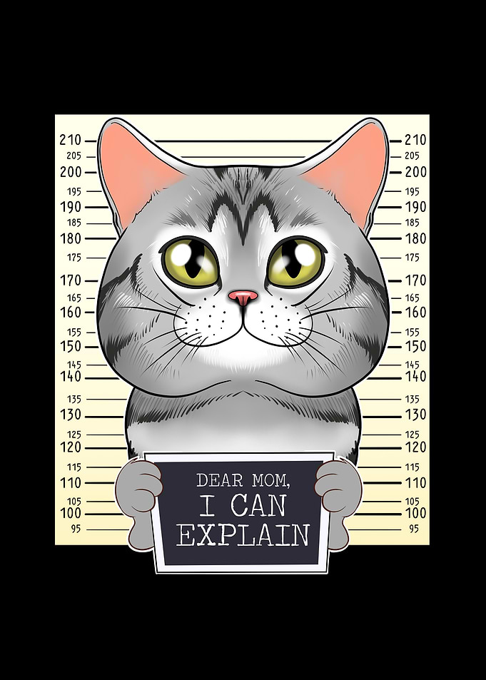 American Shorthair Cat Mom