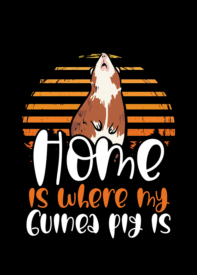 Home is where my guinea