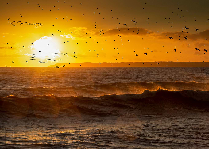 Sunset at Aberavon beach