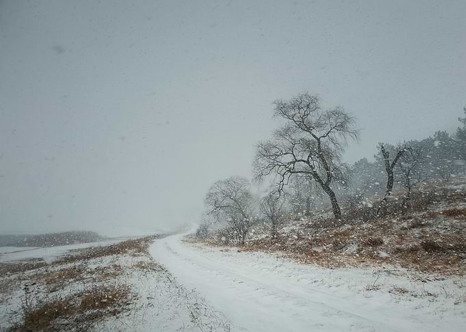 Country road in snow
