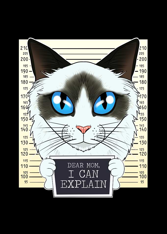 Ragdoll Cat Mom Dear Mom
