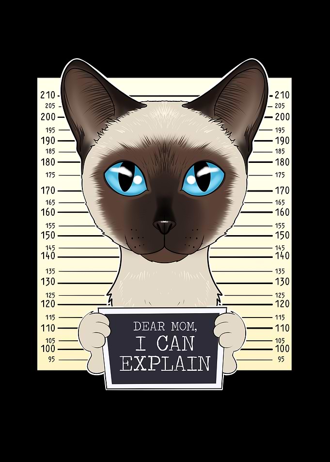 Siamese Cat Mom Dear Mom