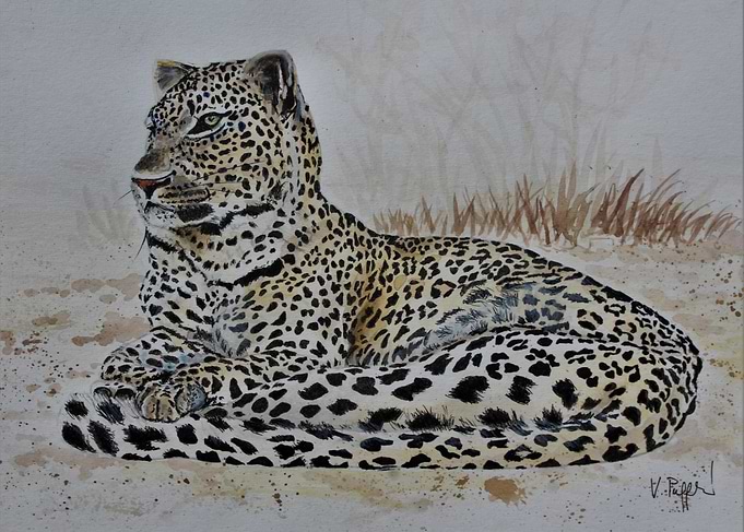 LEOPARD