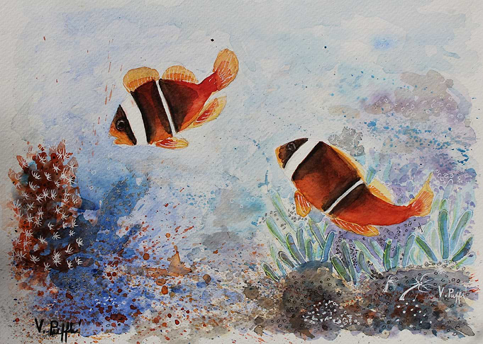 Clown Fish
