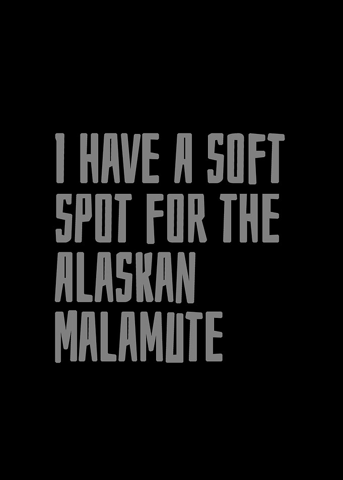 Alaskan Malamute