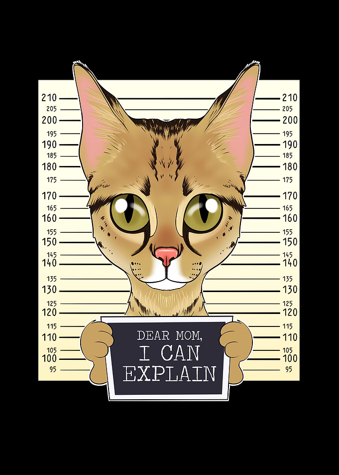 Savannah Cat Mom