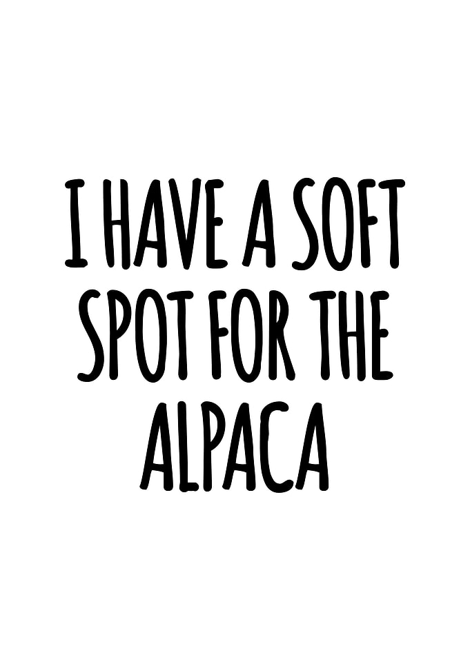 Soft spot for the alpaca