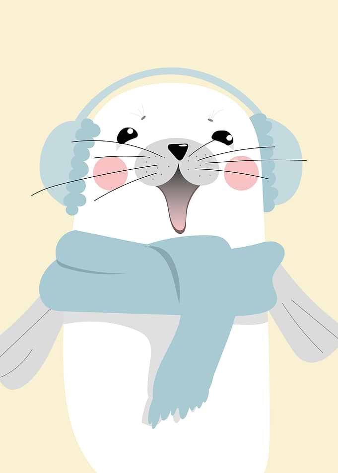 Cute Seal