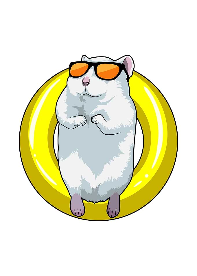 Hamster Swimming