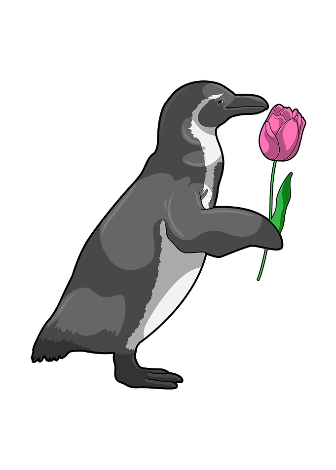 Penguin Tulip