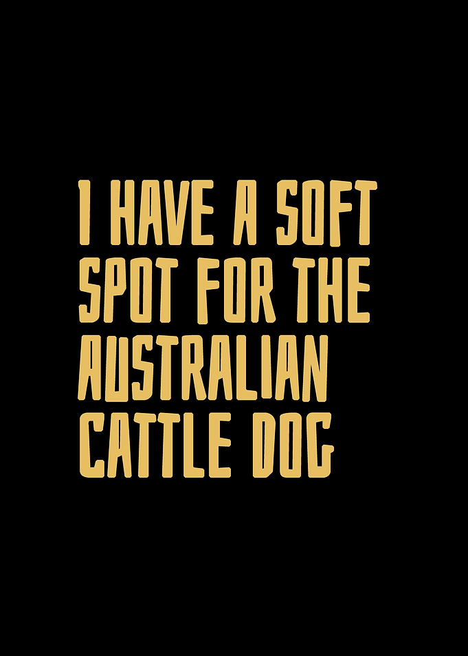 Australian Cattle Dog
