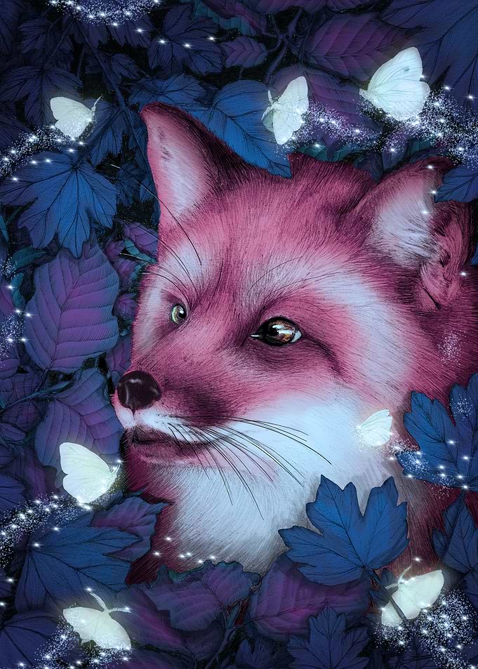 Fox in the Midnight Forest