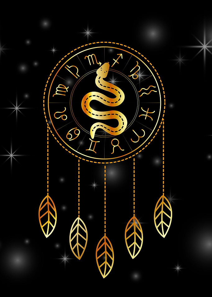 Dream catcher Zodiac snake