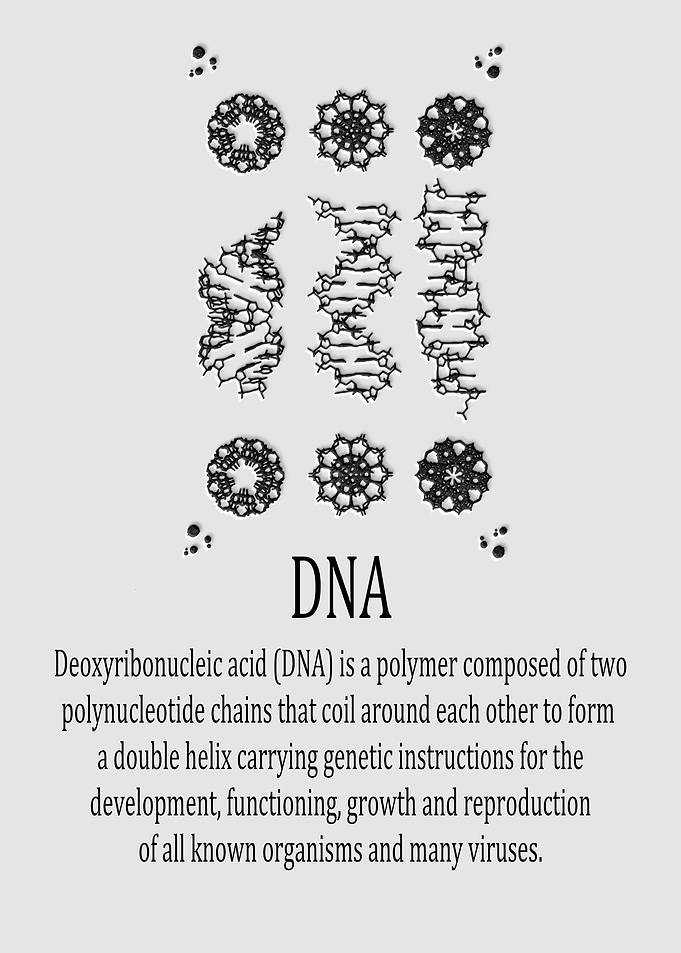 DNA