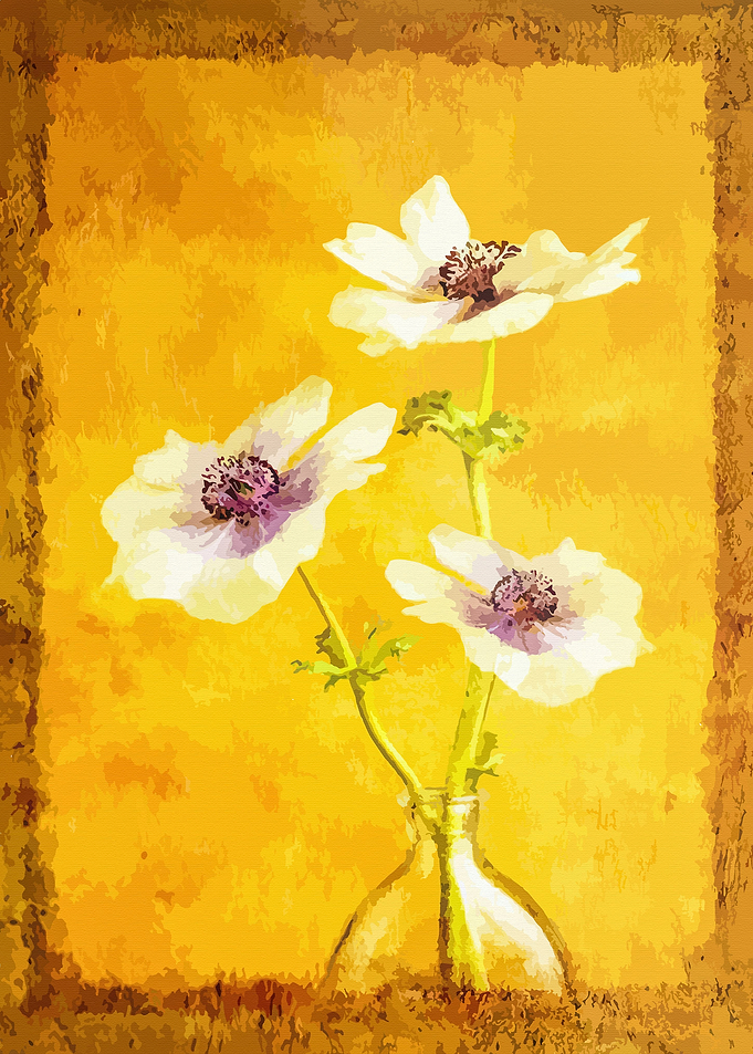 Anemones