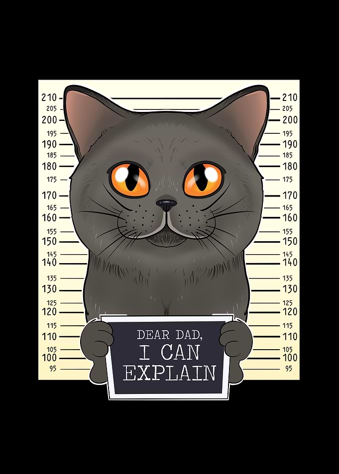 British Shorthair Cat Dad