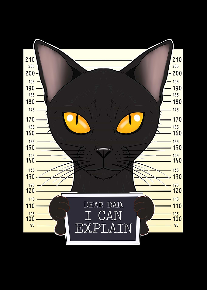 Bombay Cat Dad I Dear Dad