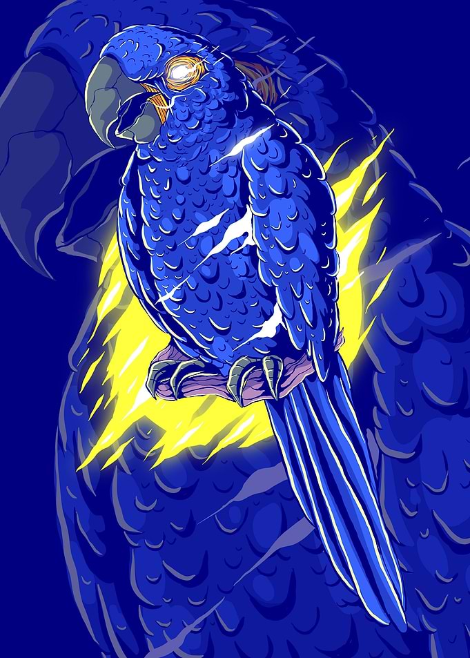 parrots