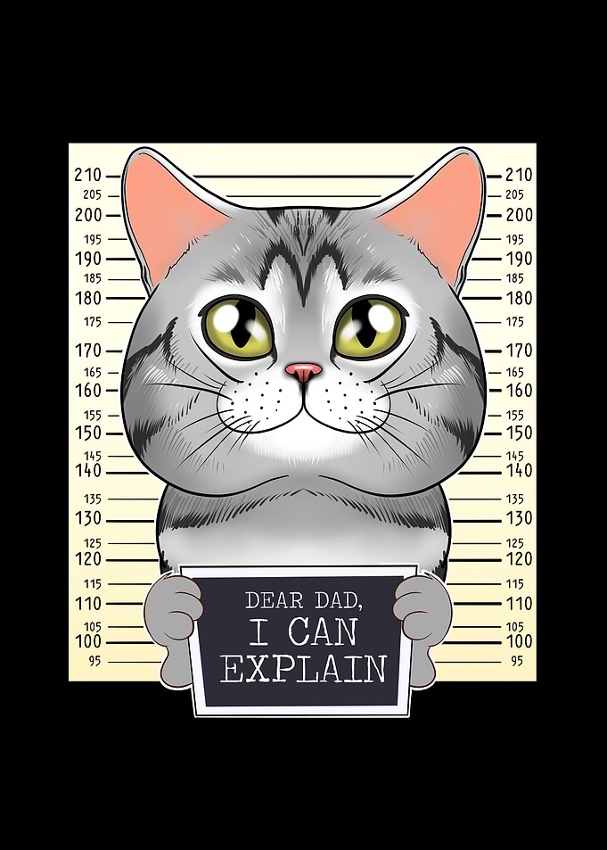 American Shorthair Cat Dad