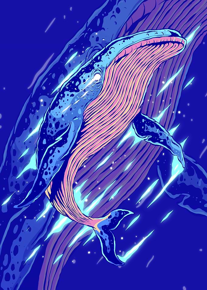 whale abstract