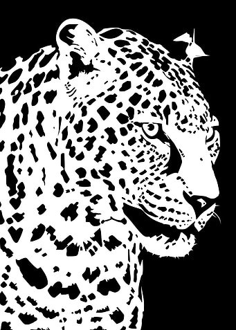 Leopard Illustration