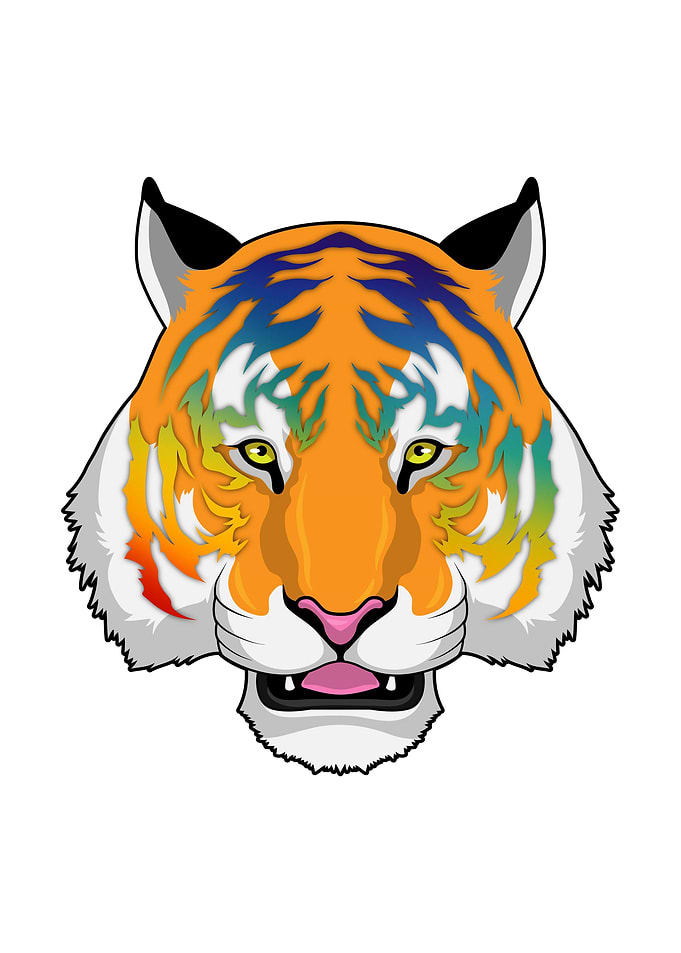 Tiger Colorful