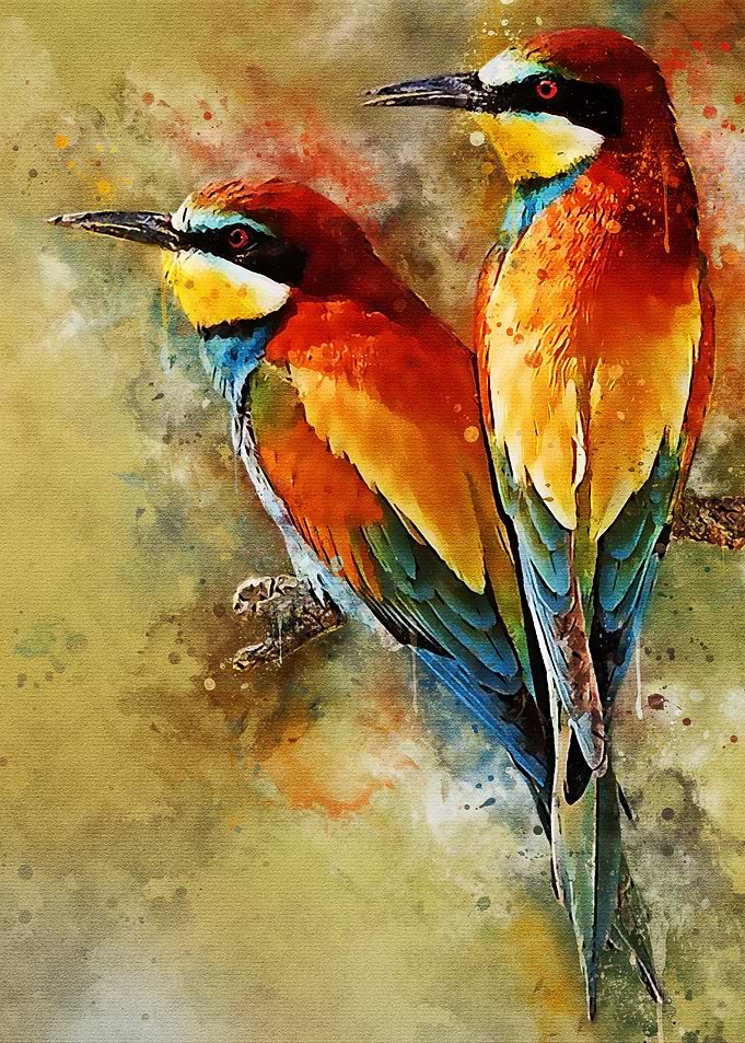 Watercolor birds