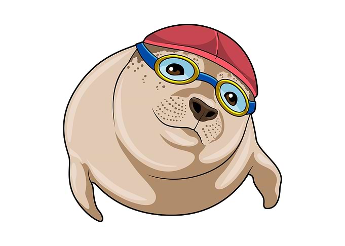 Seal Swimming