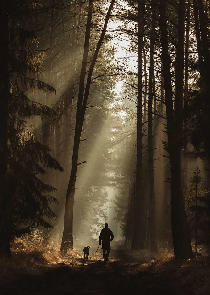 Man and dog