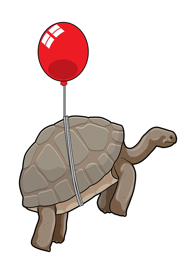 Turtle Balloon