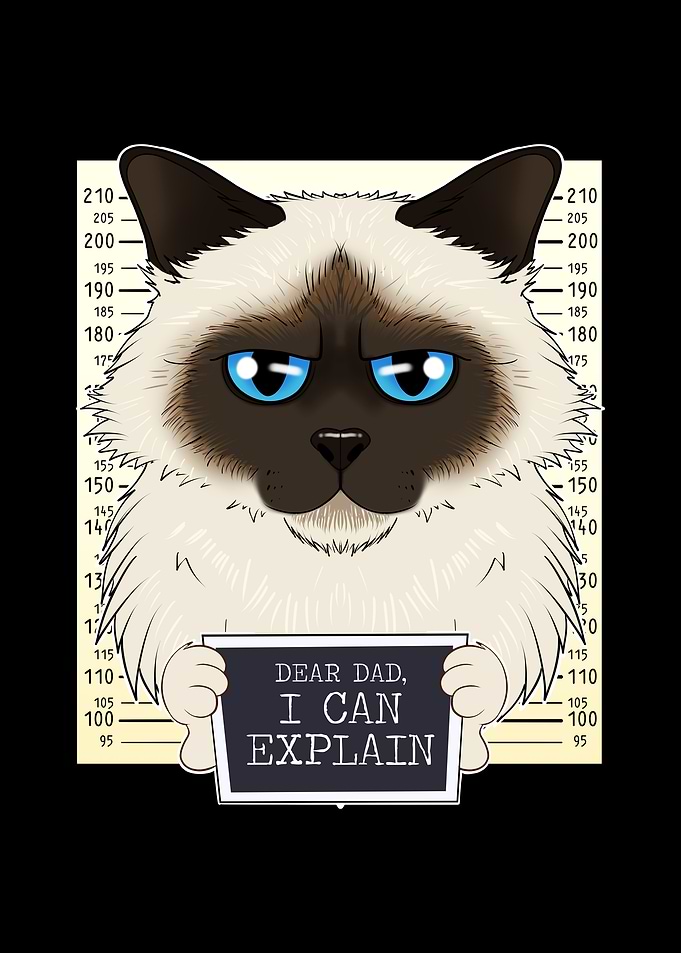Birman Cat Dad I Dear Dad