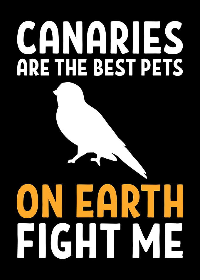 Funny Canary Bird
