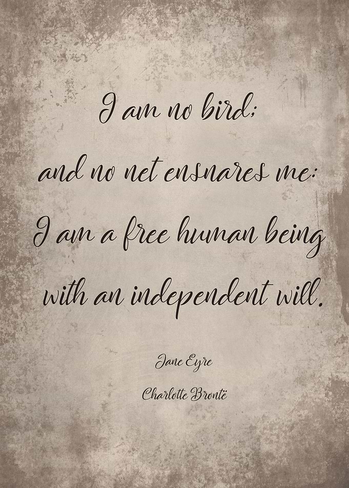 I am no bird